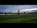 Sauvie Island, OR - 2019