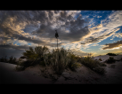 White Sands, NM