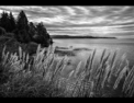 Humboldt Lagoons State Park, CA