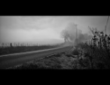 Near Tomales, CA